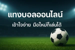 ทำไม วิธีเล่นแทงบอลได้เงินจริง ถึงได้รับความนิยมสูงสุด